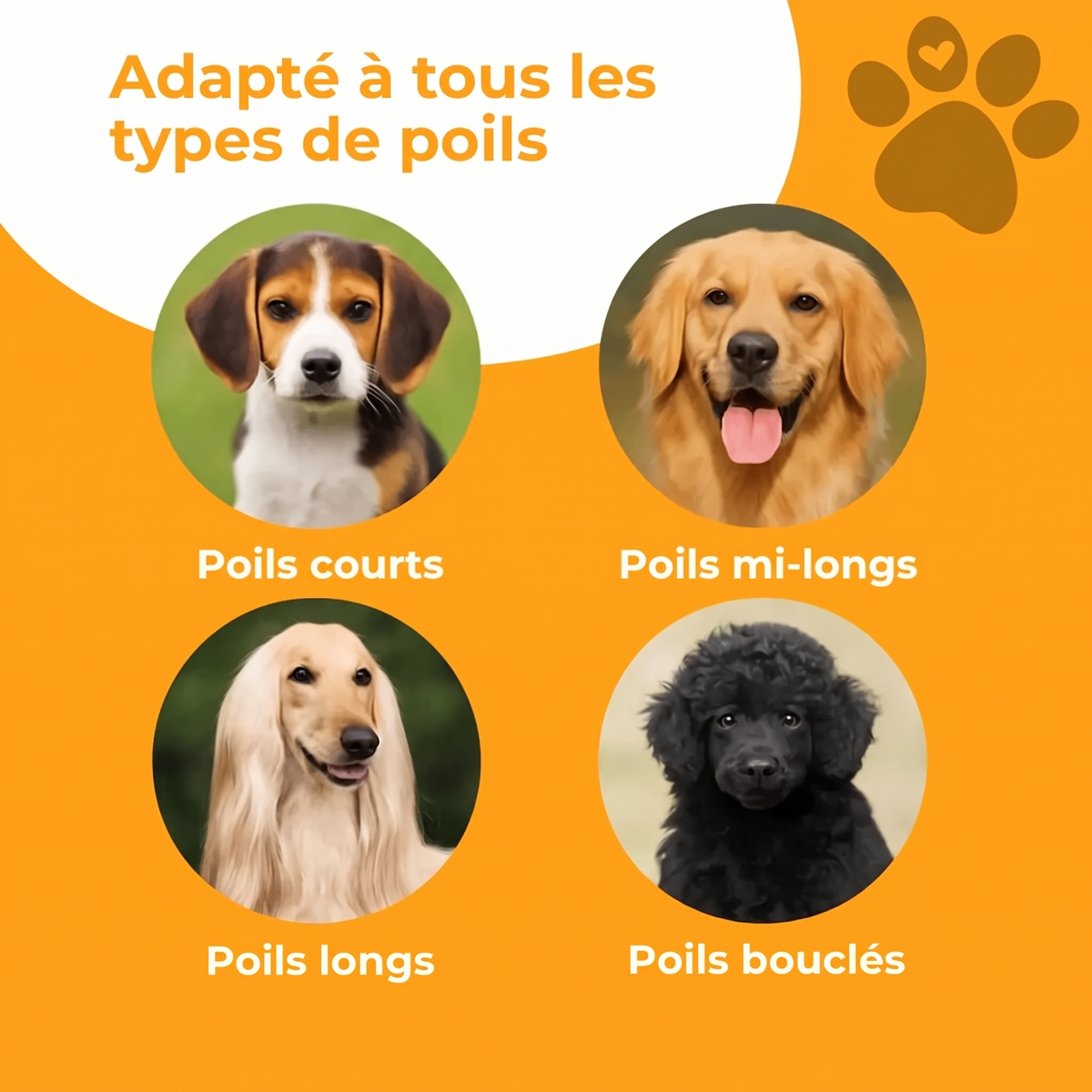 Sublim'Poil - Moins de poils dans la maison dès le premier brossage