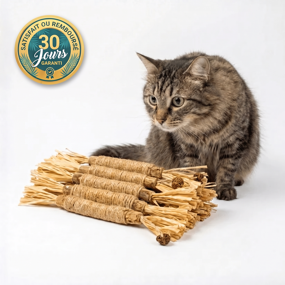 PurrStick™ - Le bâton qui rend les chats fous de joie.