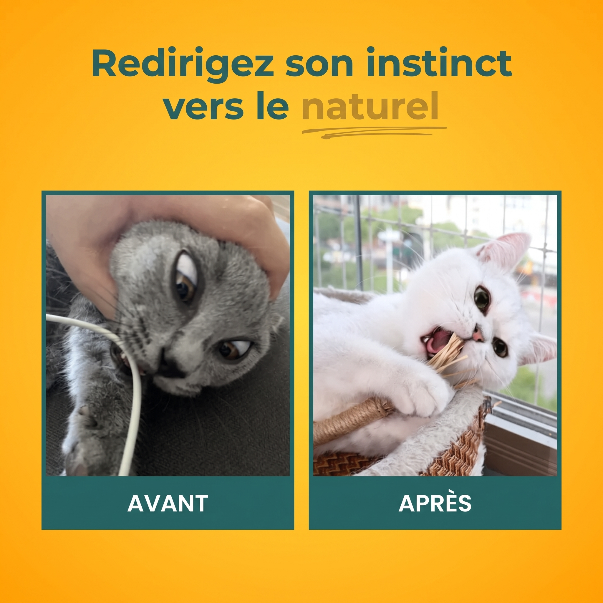 PurrStick™ - Le bâton qui rend les chats fous de joie.