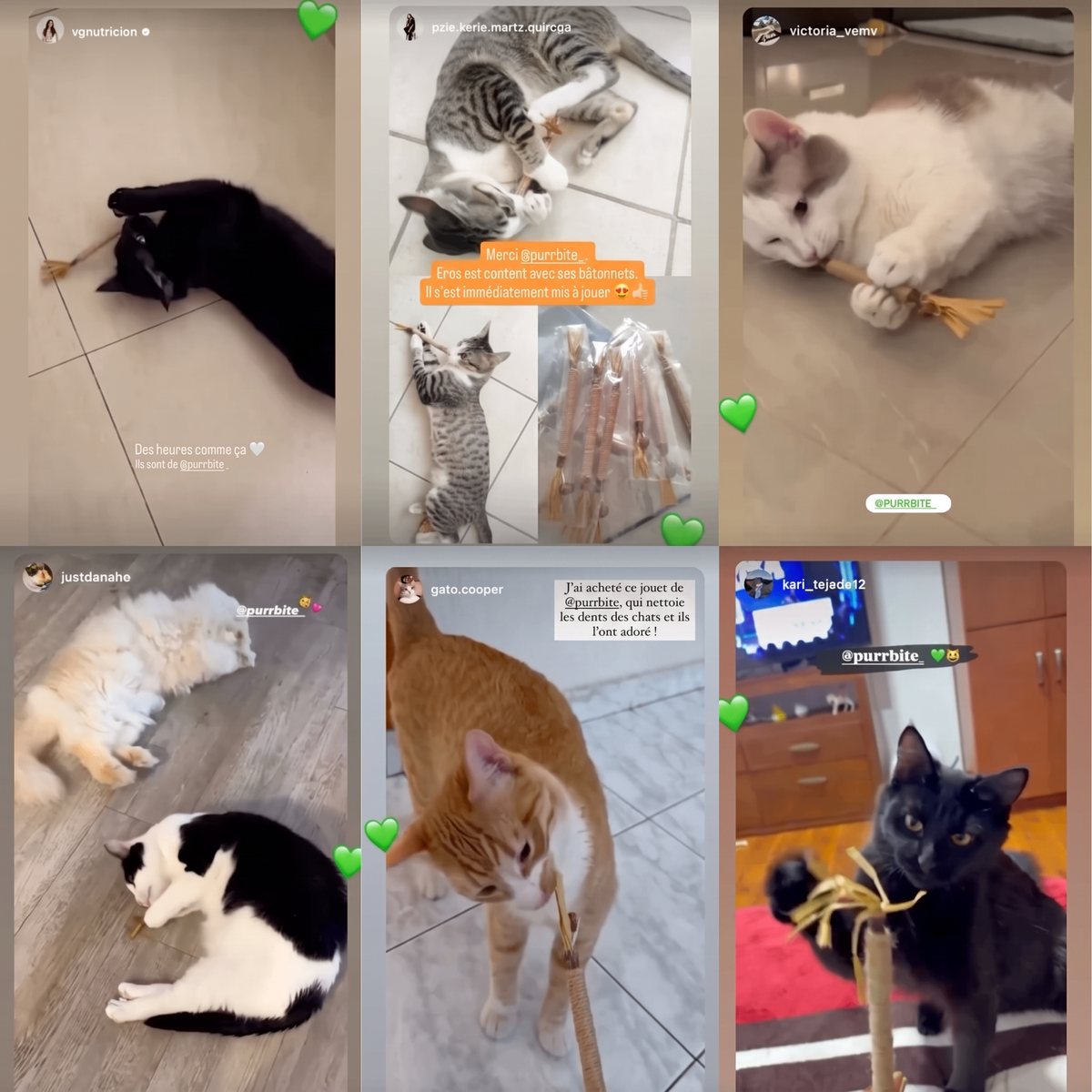 PurrStick™ - Le bâton qui rend les chats fous de joie.