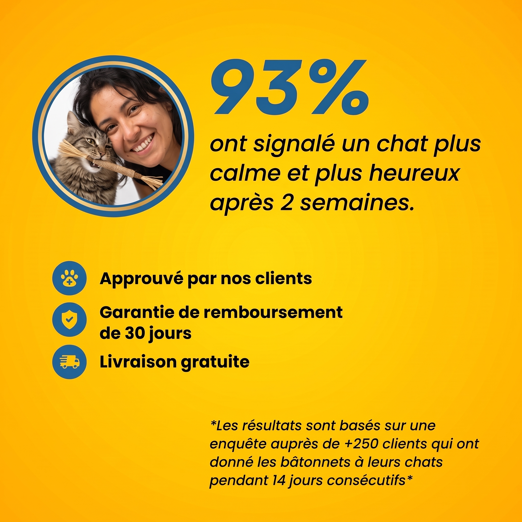 PurrStick™ - Le bâton qui rend les chats fous de joie.