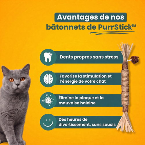 PurrStick™ - Le bâton qui rend les chats fous de joie.