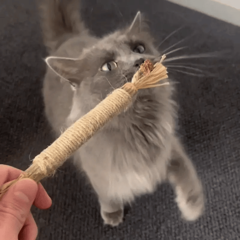 PurrStick™ - Le bâton qui rend les chats fous de joie.